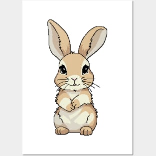 Cute shy light brown bunny Posters and Art